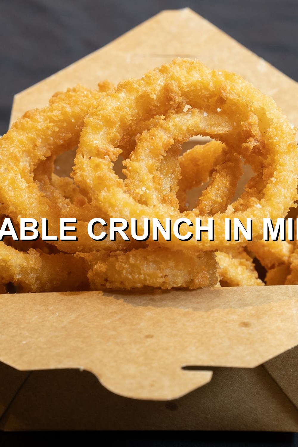 Air Fryer Onion Rings
