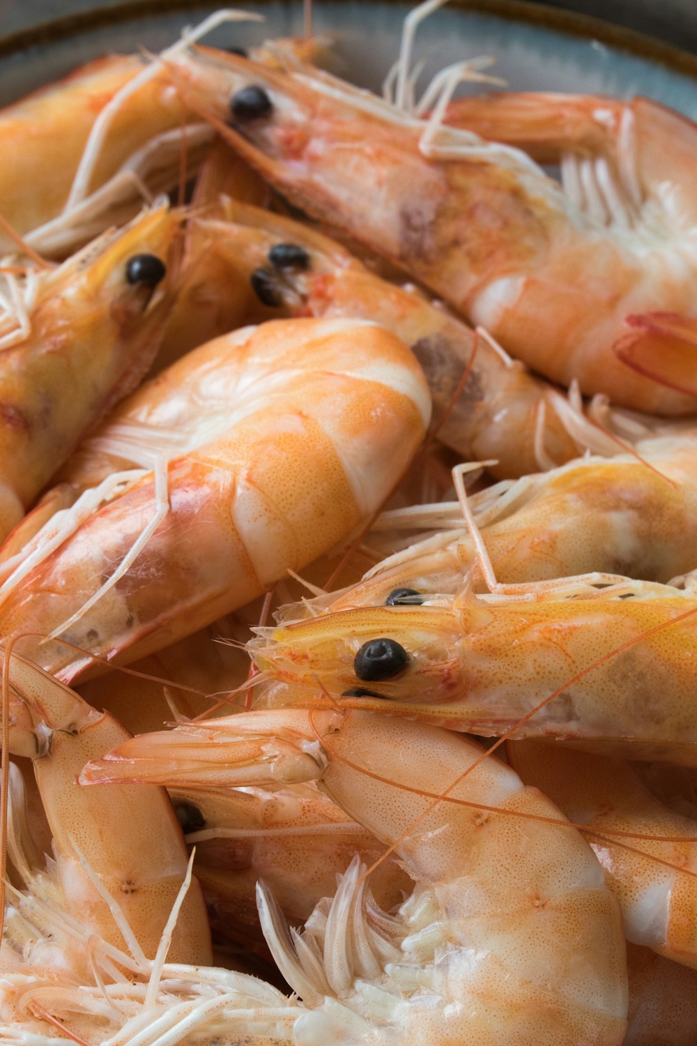 Pin for Air Fryer Salmon Bites (2026 Viral Recipe)