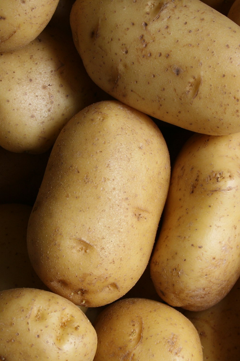 Pin for Best Air Fryer Baked Potato Recipe (2026 Guide)